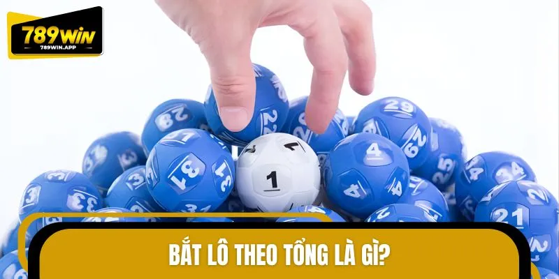 Sơ lược về bắt lô theo tổng