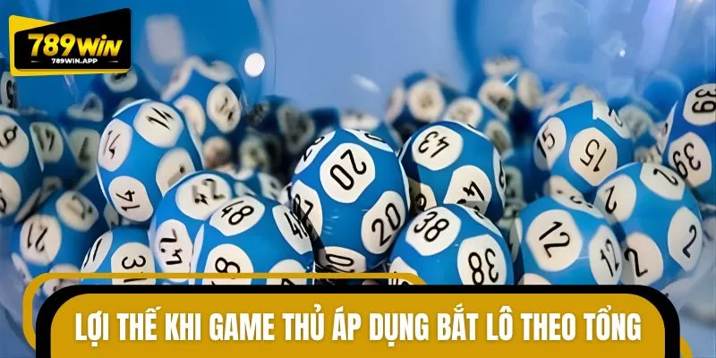 Những lợi ích nổi bật từ phương pháp bắt lô theo tổng