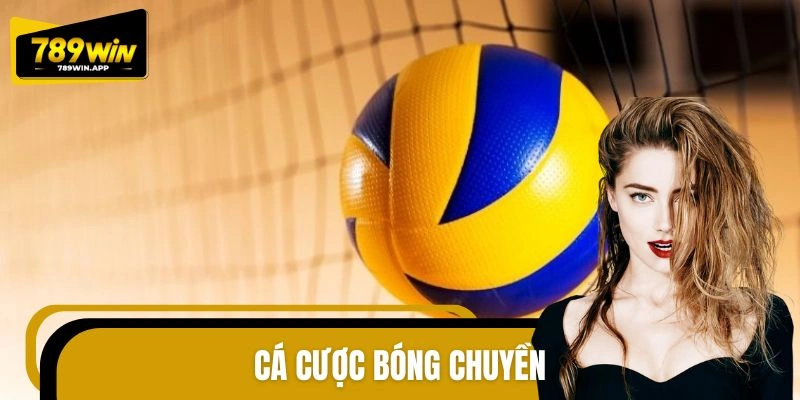 Cá Cược Bóng Chuyền - Đặt Tiền Nhanh, Cơ Chế Minh Bạch