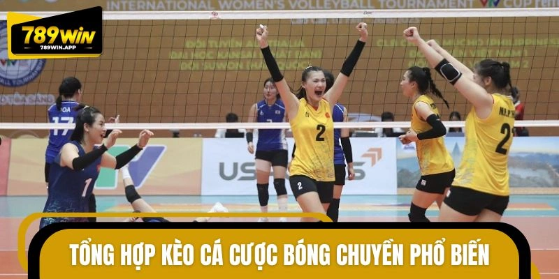 Các hình thức dự đoán bóng chuyền nổi bật
