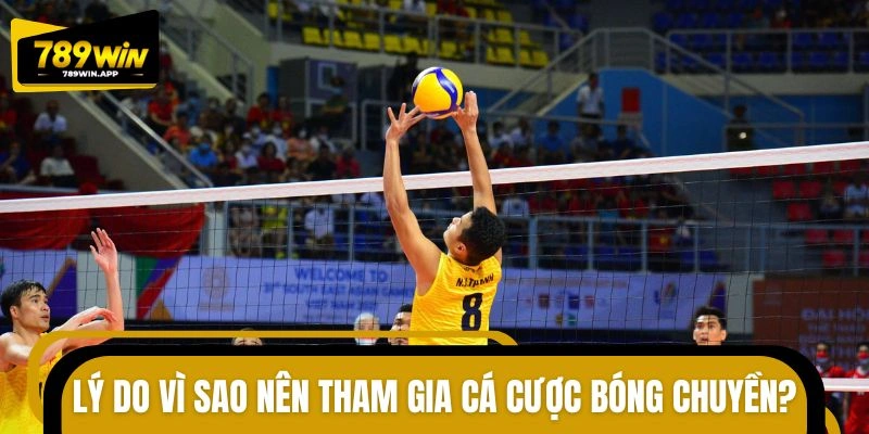 Điểm mạnh khi trải nghiệm dự đoán môn bóng chuyền