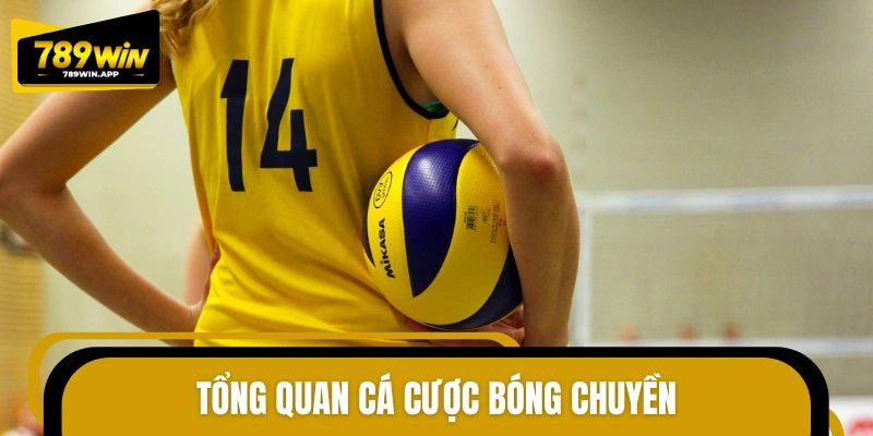 Khái quát sơ lược về hình thức dự đoán bóng chuyền