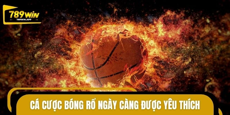 Cá cược bóng rổ ngày càng được yêu thích tại nhà cái