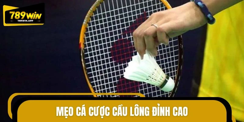 Cách chinh phục dự đoán cầu lông hiệu quả cao