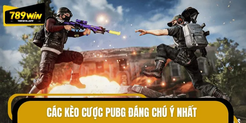 Điểm qua các hình thức đặt cược PUBG nổi bật trong năm 2025