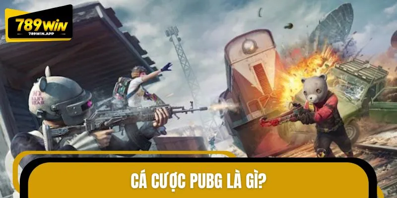 Khái niệm cá cược PUBG