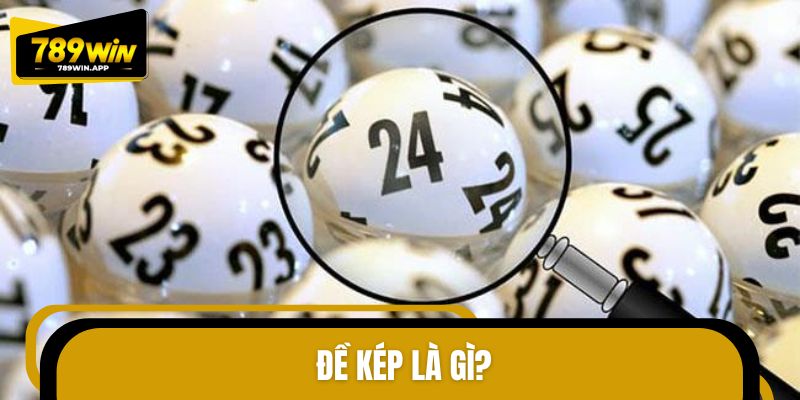 Tổng quan về đề kép