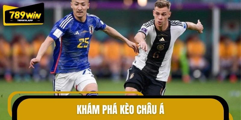 Khái quát sơ lược về tỷ lệ châu Á
