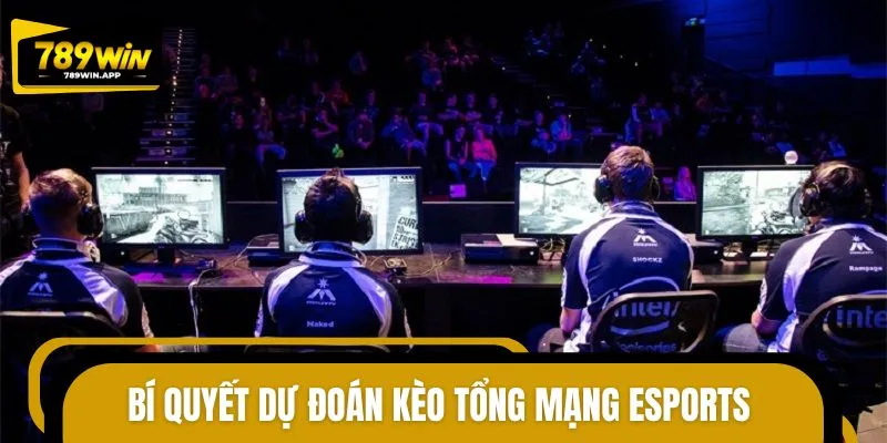 Phương pháp dự đoán kèo tổng mạng Esports hiệu quả cho tân thủ