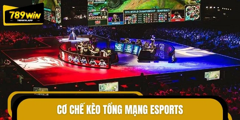 Nguyên tắc kèo tổng mạng Esports
