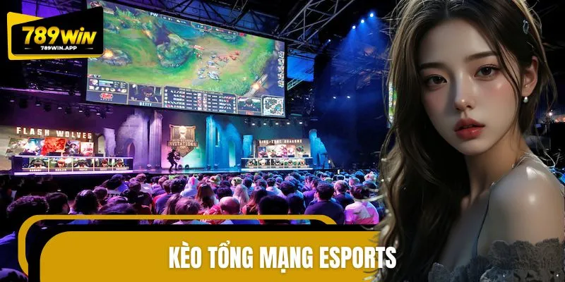 Chiến Lược Dự Đoán Kèo Tổng Mạng Esports Chuẩn Cho Tân Binh