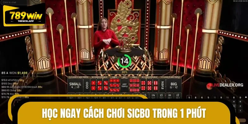 Game Sicbo dễ chơi, dễ thắng
