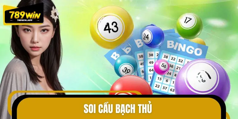 Soi Cầu Bạch Thủ Chuẩn Xác – Kinh Nghiệm Từ Cao Thủ Lô Đề
